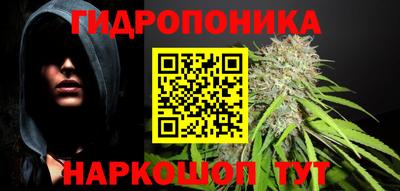 apvp Усть-Илимск
